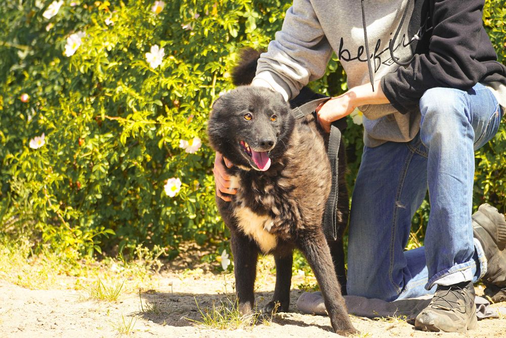 Funia - śliczna sunia