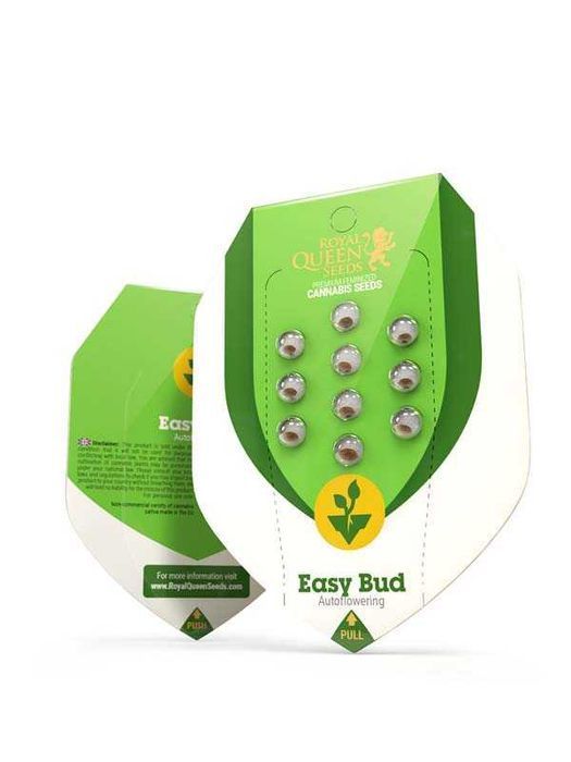Nasiona konopi Automatyczne Easy Bud -RQS 3