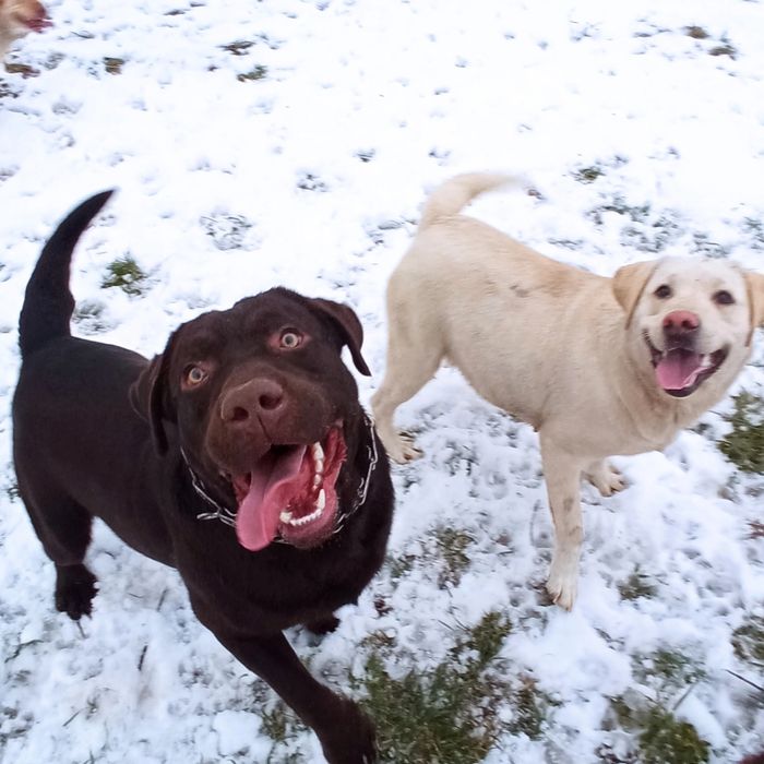 Хлопчик Чорний є Дівчата
