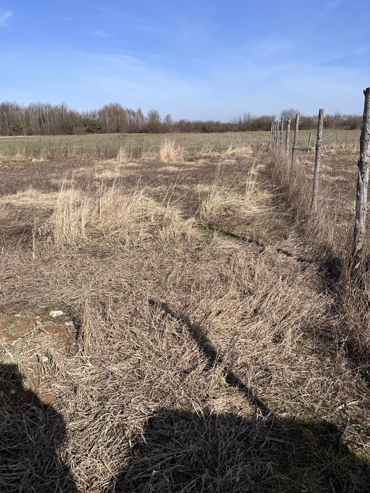 Działka Grabiny równa kwadrat - Widok 2