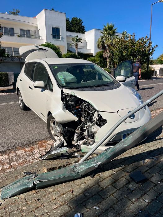 Salvado Nissan Leaf 24 kWh (10 barras)