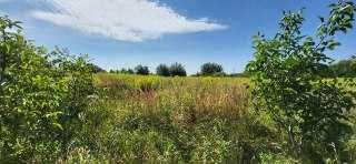 Продаж ділянки під будівництво в Конопниці (9,6 сот, без комісії)