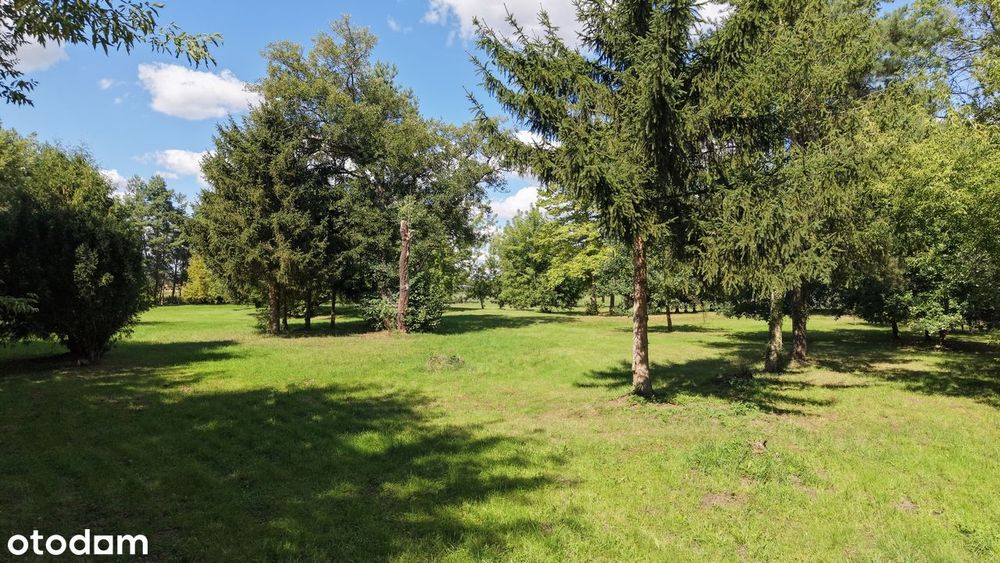 Działka w mieście Stargard Inwestycyjna Rekreacja Biznes - Widok 4