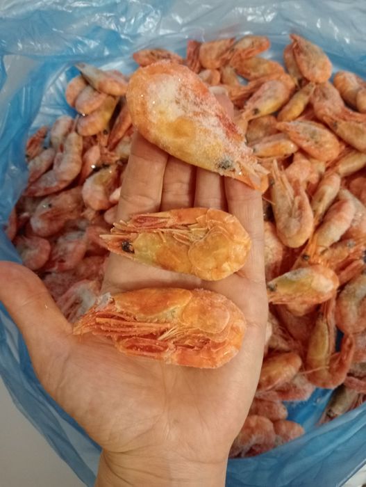 Sprzedam krewetki.opakowanie 5kg