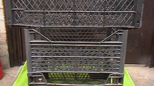 Ящики овощные продам.