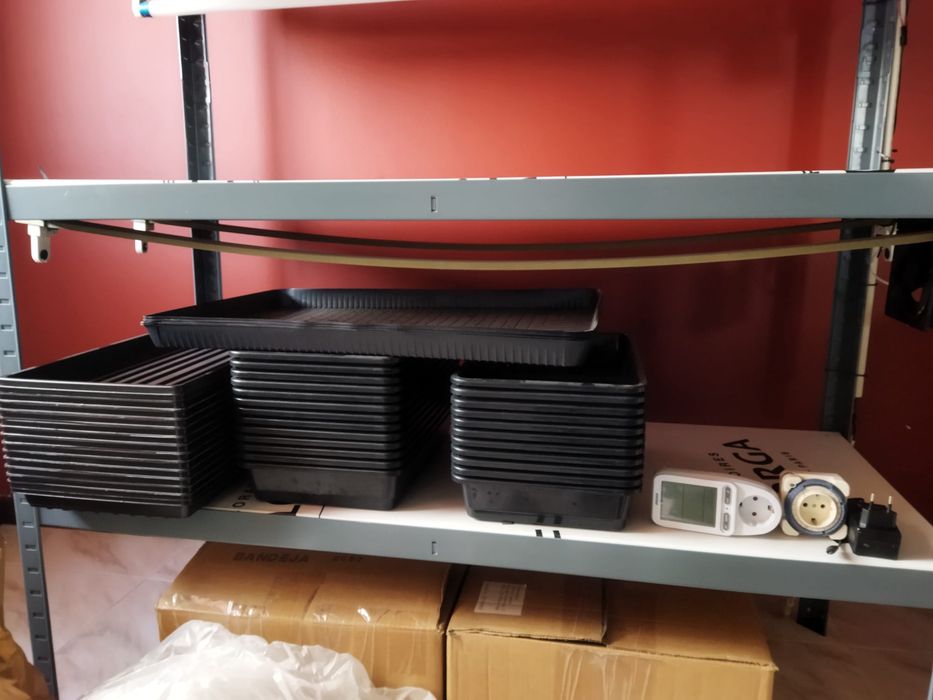 Equipamento/kit microgreens/microvegetais/plantas
