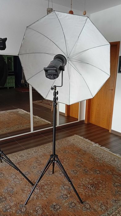 Bowens Esprit Gemini 500 Kit