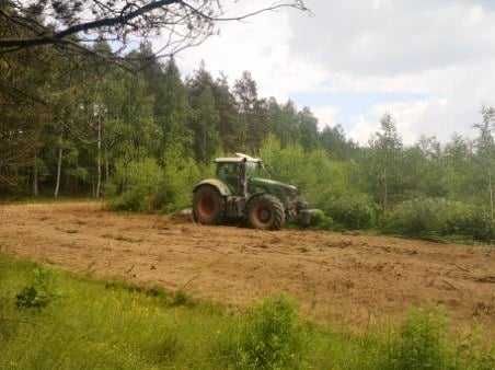 Zakupimy las, wyrąb lasów,wycinka drzew ,skup drewna, rekultywacja