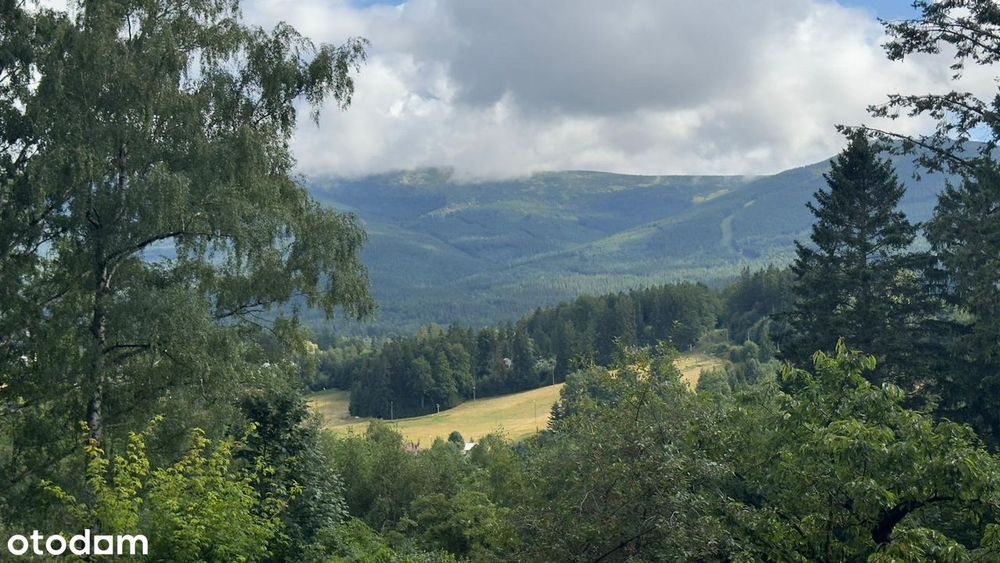 Działka budowlana z widokiem na góry | 1631 m² | PUM 700–800 m²