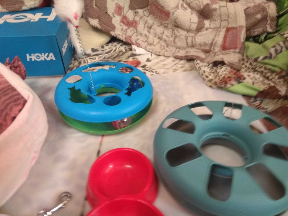 Лежак та інші принади для домашніх улюбленців.вживані