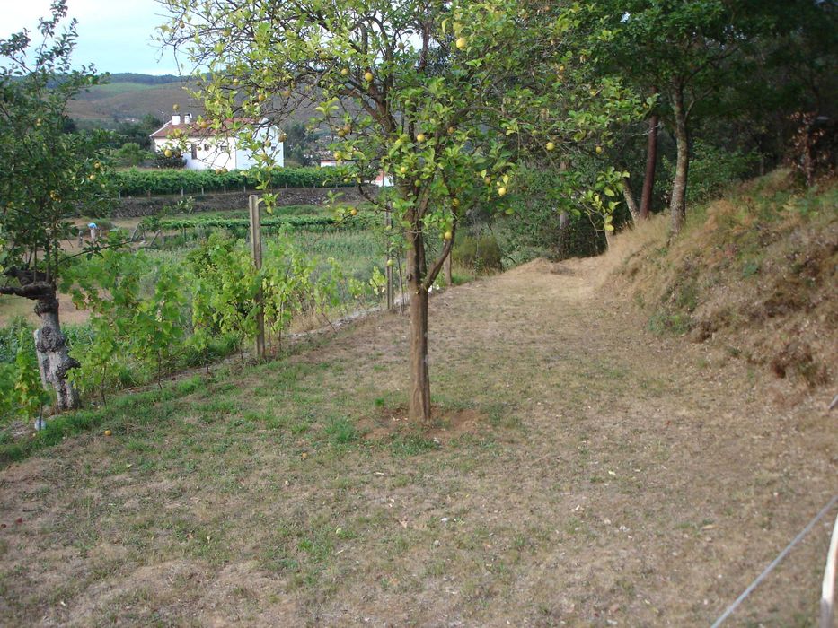 Limpeza de terrenos e jardins (Litoral norte)