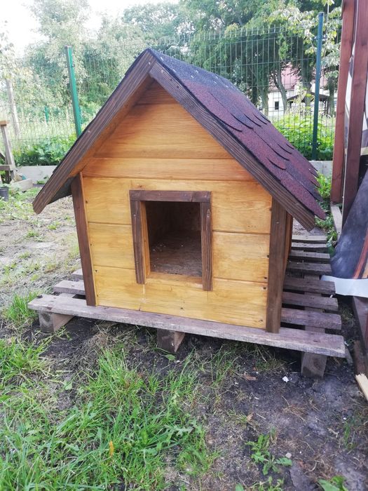 Budy dla psów. Zapraszam