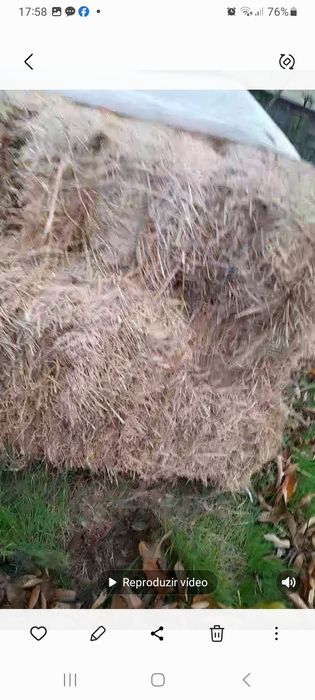 Vendo fardos de palha