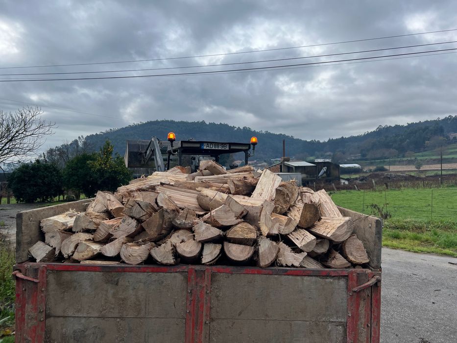 Estrada&magalhaes agroflorestal LDA