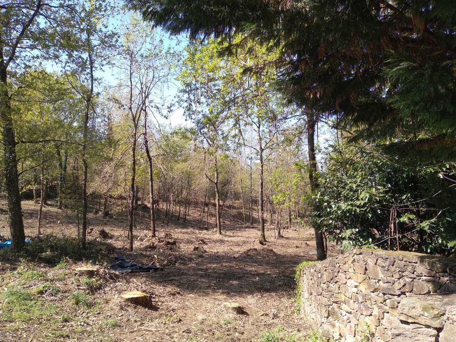 Vende Terreno em Agrela