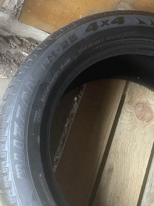 Шини Bridgestone R19