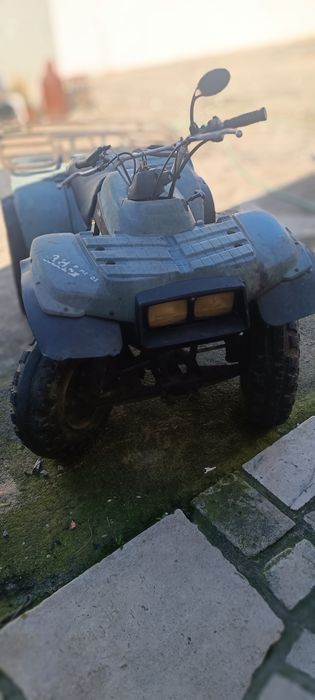 Moto 4 Timberwolf 250 com bola de engate