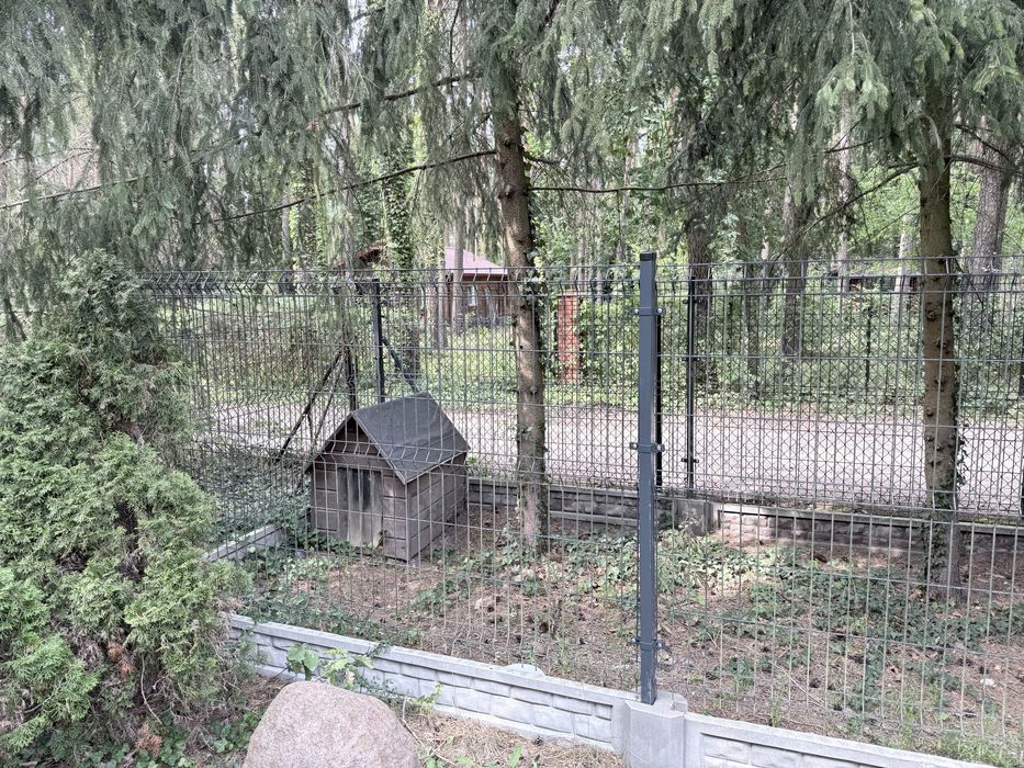 Kojec dla psa z budą