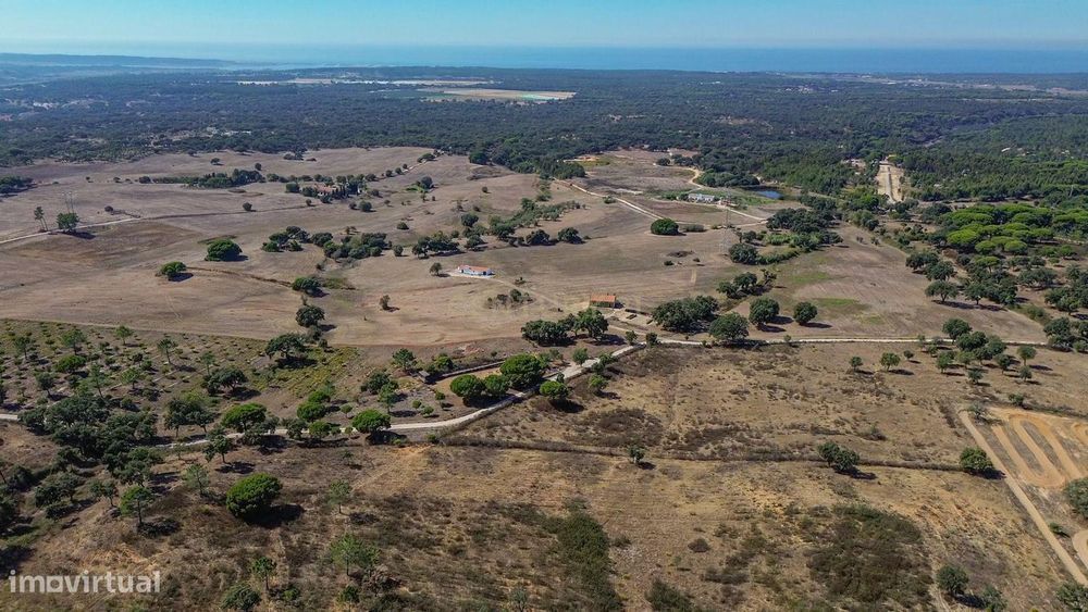 Propriedade Rural - Melides - Grândola
