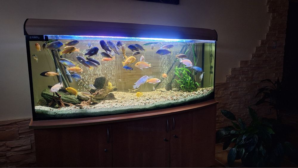 Akwarium 500L Zestaw