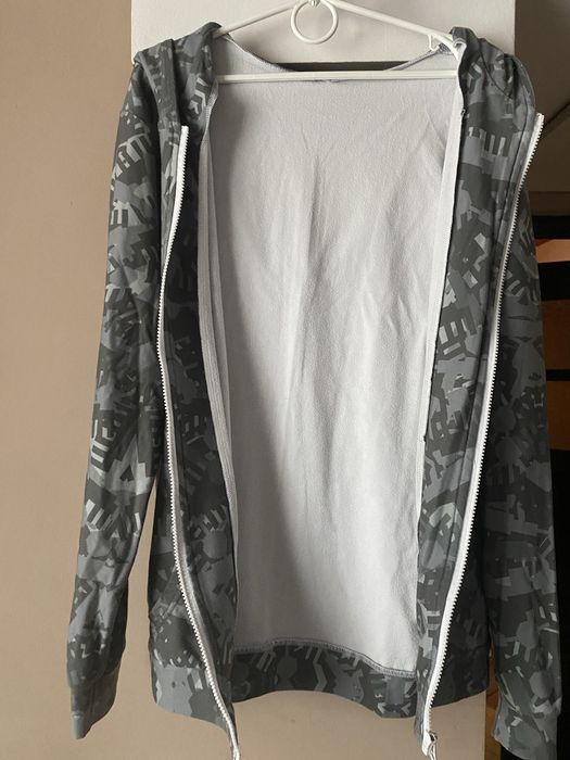 Szara bliza z kapturem