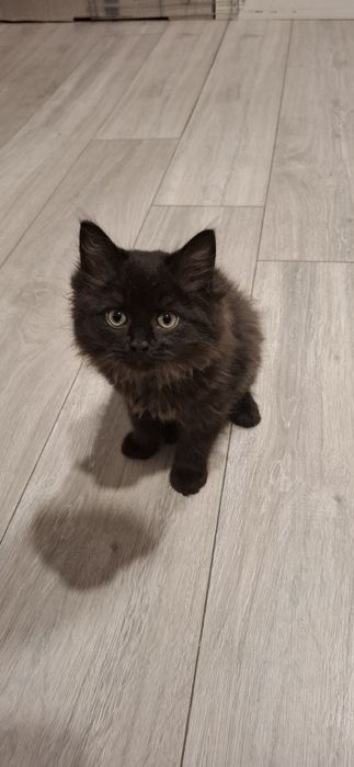 Ostatni chlopczyk w najlepsze ręce!!!