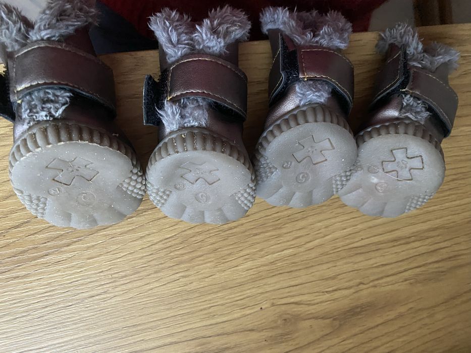 Черепички, сапоги для тварин собак