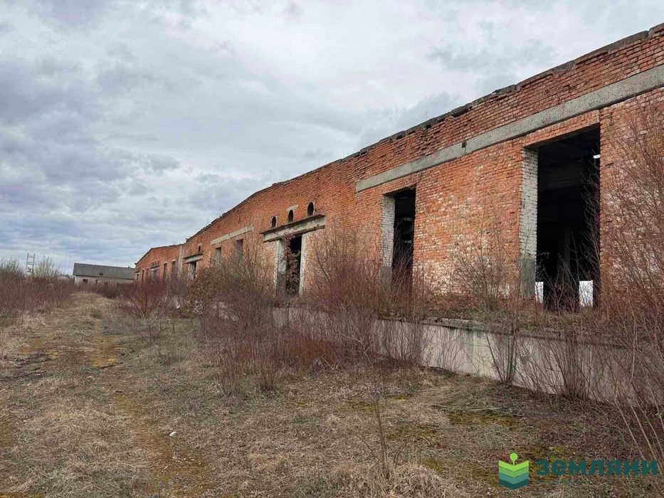Продається виробничо-складське приміщення в с.Братківці (17)