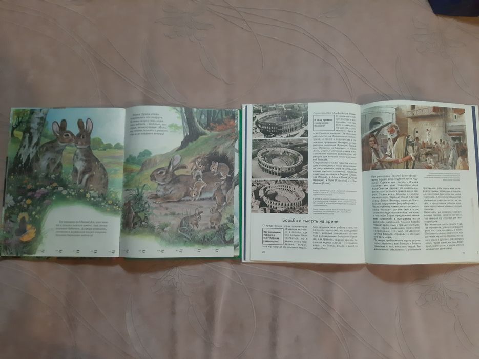 Книги детские:Гладиаторы.По следам любимых зверят.