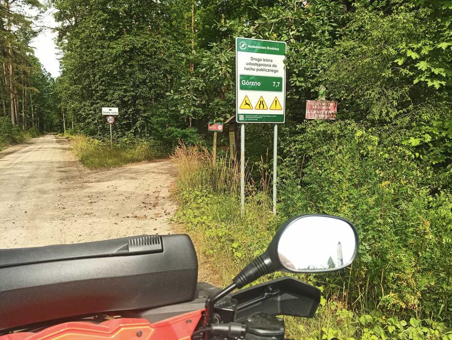 Sprzedam działkę 3000 m2 w kompleksie działek leśnych.