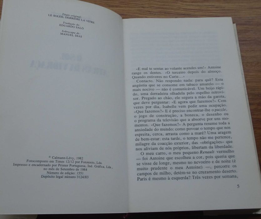 O Sol Atrás da Vidraça de Anne Loesch