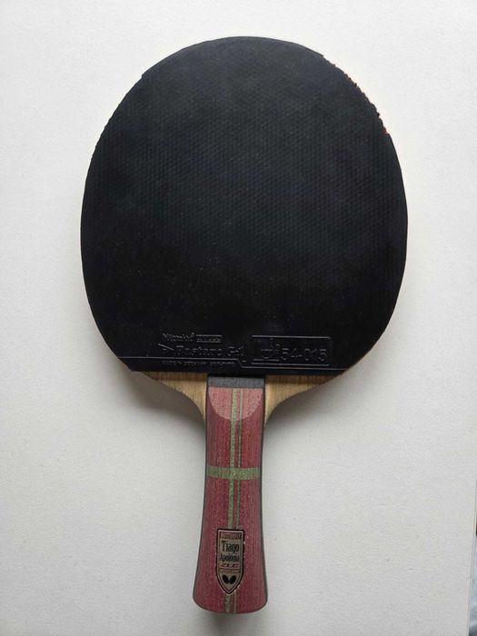 Tiago Apolónia ZLC - Madeira Tênis de Mesa