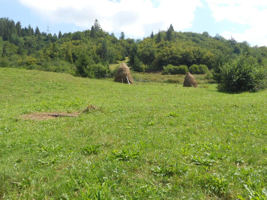 Житловий будинок та земельна ділянка 55,3 сот. с.Козьова