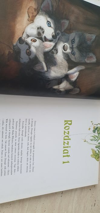 Księga dżungli Rudyard Kipling Quentin Greban
