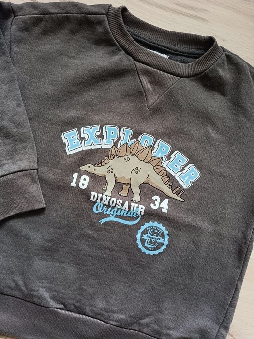 Bluza chłopięca dinozaury