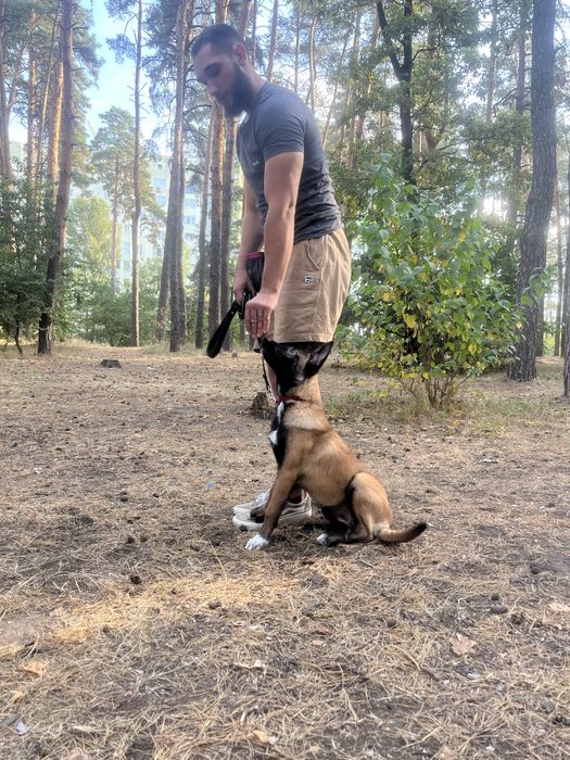 Кінолог ! Дресирування собак ! Зоопсихолог ! Вирішення всіх проблем !