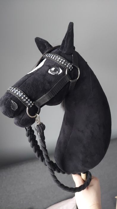 Hobby horse, konik na kiju