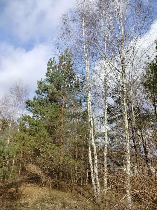 DZIAŁKA budowlana W Choroszczy