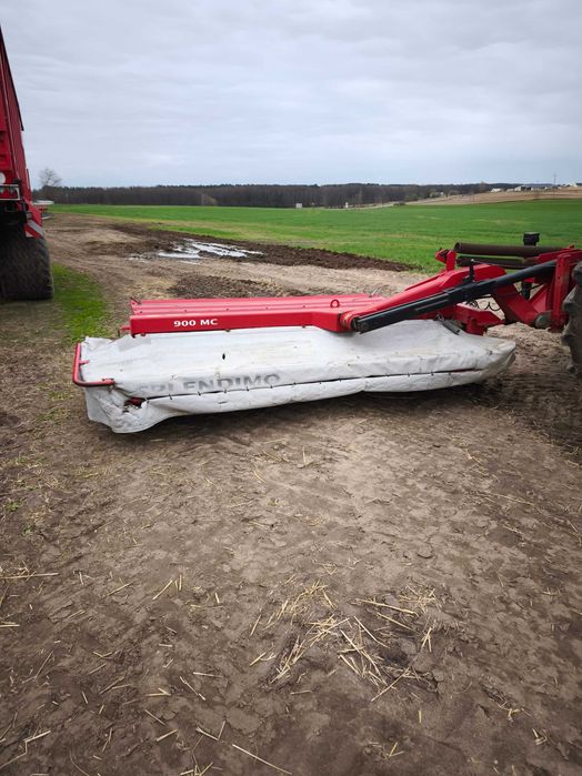 Kosiarki motyl lely splendimo