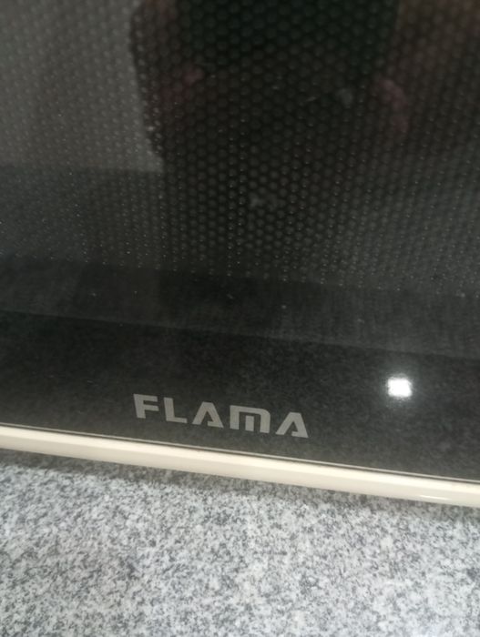 Micro ondas Flama