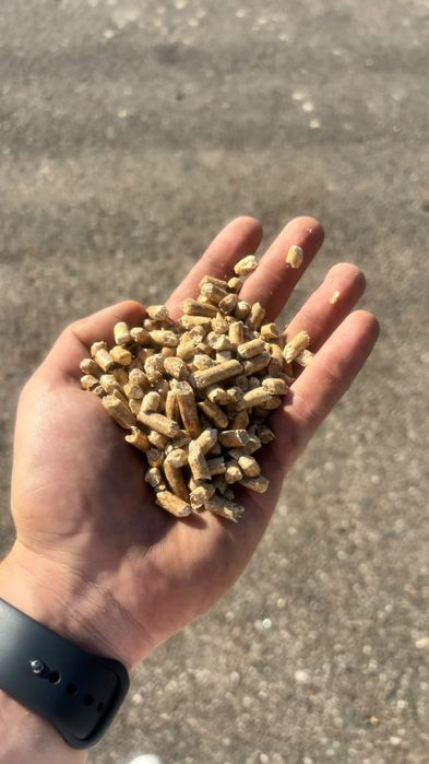 Pellet Graanul EN plus A1 - Kleszczele