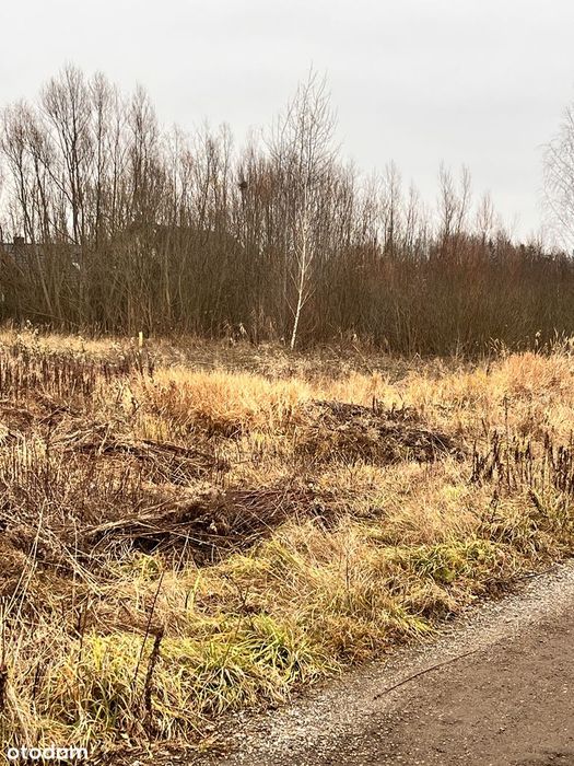 Działka 1000 m² z mediami w cichej okolicy