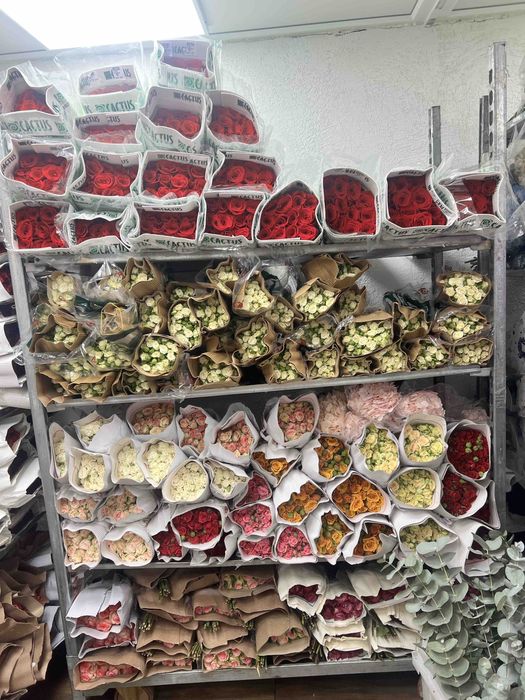 Троянди розы великий вибір