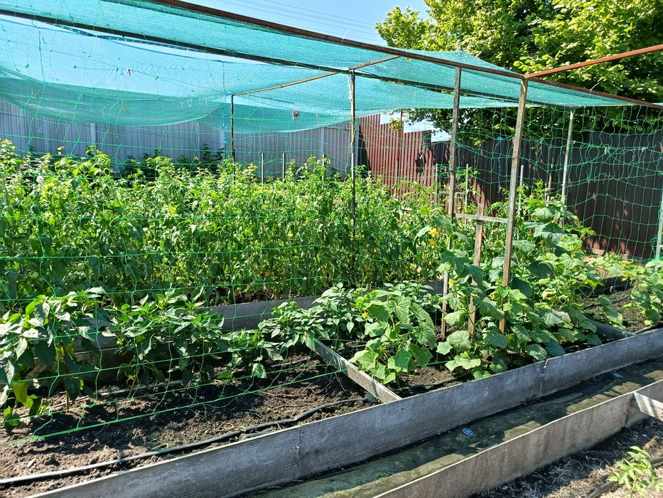 Продается дом в с. Новотроицкое на берегу природного водоёма