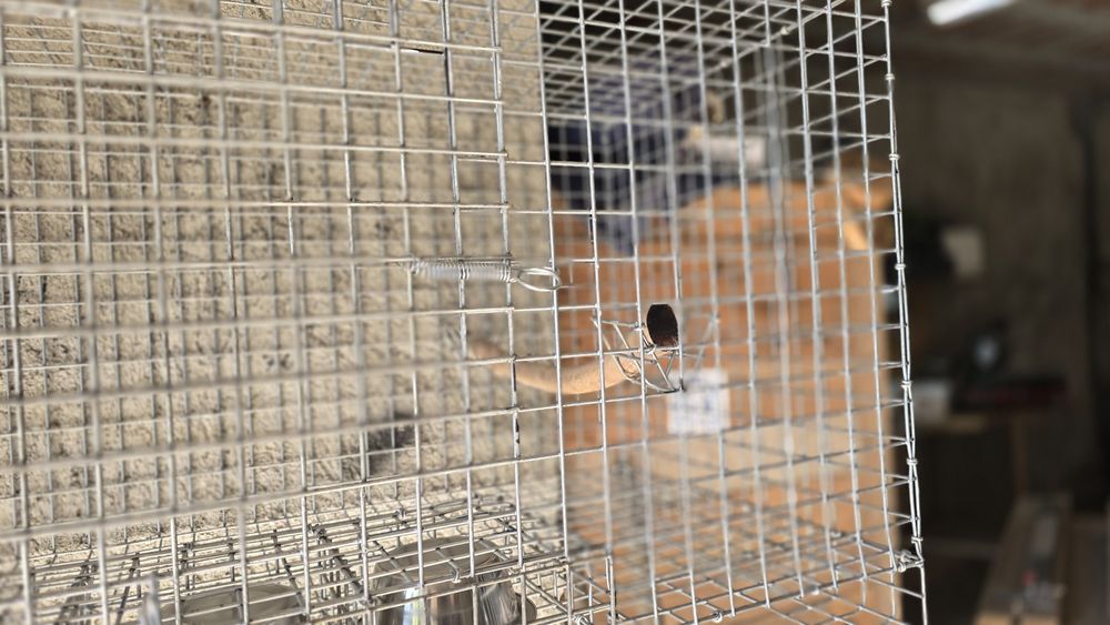 Gaiolas  fortes novas