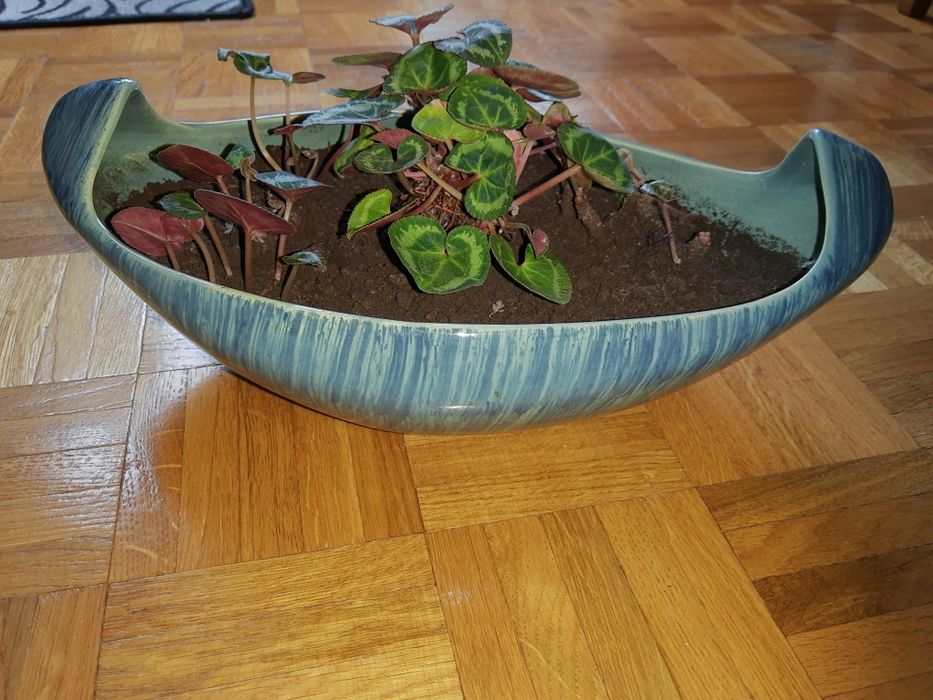 Gondola - ikebana, pikasiak Włocławek