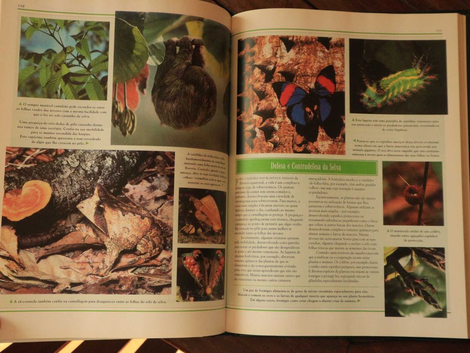 À Descoberta da Amazónia