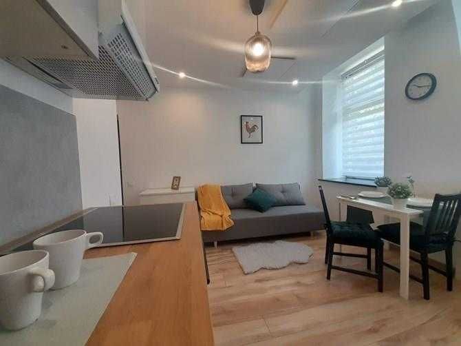 Modrzejowska 89, Syberka, funkcjonalne studio, BRAK PROWIZJI