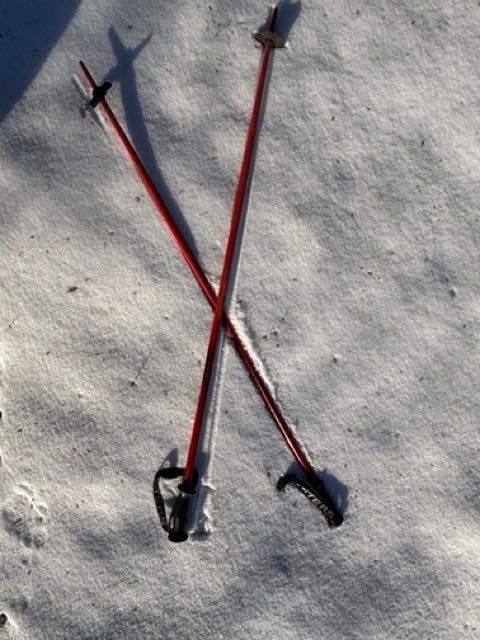 Narty zjazdowe Salomon MLX 9 + wiązania Salomon, uniseks, stan bdb