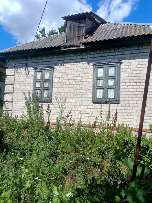 Продам будинок в селі Петрозагір'я
